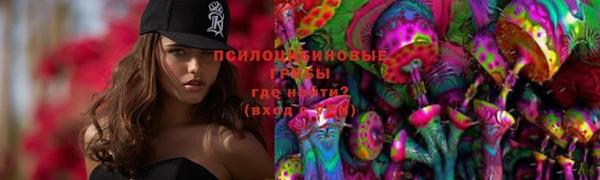 таблы Арсеньев