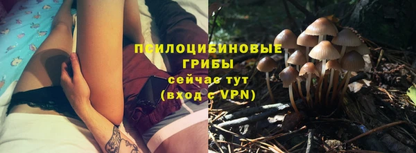 таблы Арсеньев