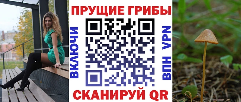 Галлюциногенные грибы прущие грибы  Строитель 
