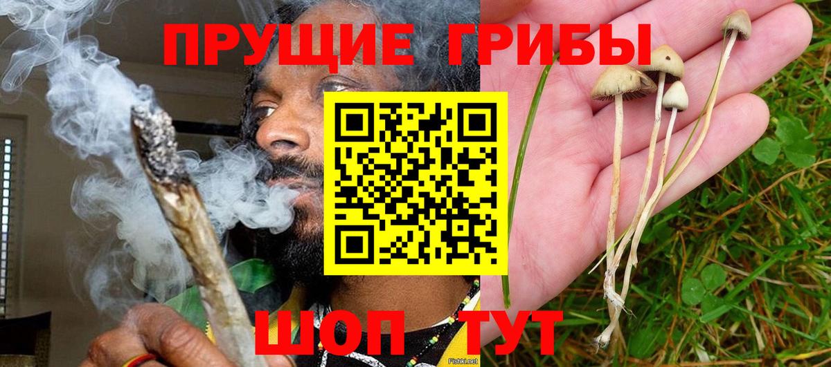 Строитель  Галлюциногенные грибы Cubensis  Галлюциногенные грибы Psilocybe  где продают наркотики  Вход с VPN 