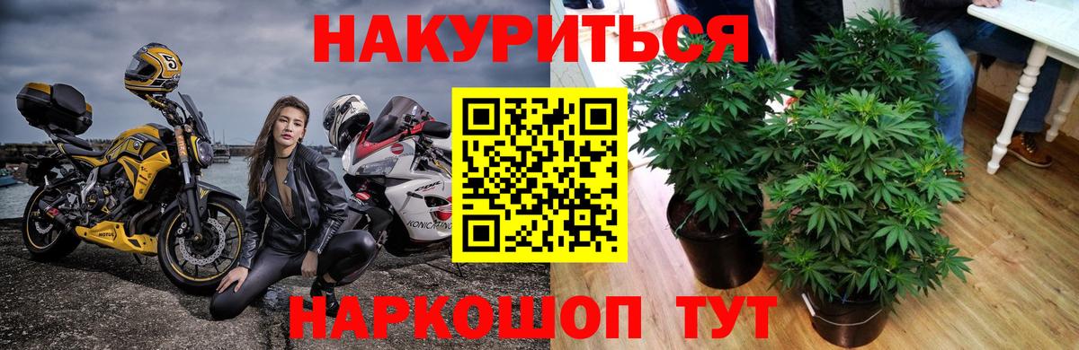 Каннабис сатива  Бошки марихуана ГИДРОПОН  Шишки марихуана ГИДРОПОН  Шишки марихуана VHQ  Строитель  Вход с VPN 